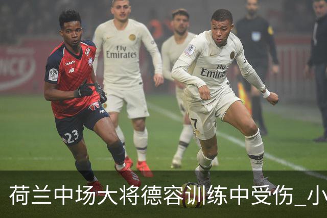 荷兰中场大将德容训练中受伤 小组赛次轮出战成疑